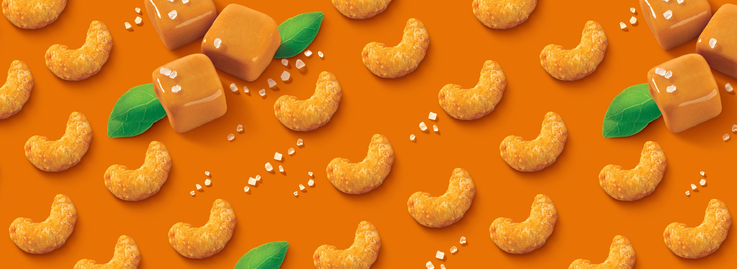 Banner image